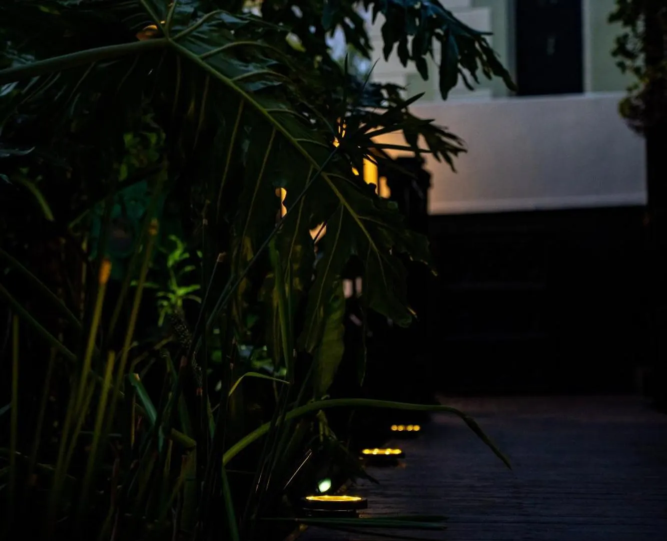 Daire Green Point'S Hideaway - Indulge In An Urban Oasis Cape Town Güney Afrika